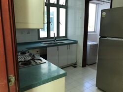 Hume Park II (D21), Condominium #480481921